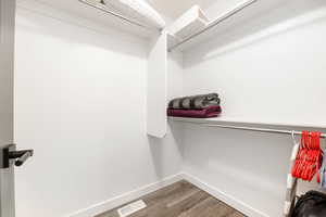 Master Bedroom Walk in closet featuring wood-type flooring