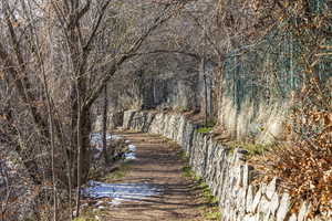 View of local wilderness