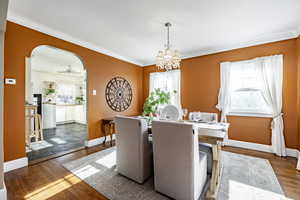 Dining space with ceiling fan with notable chandelier, dark wood-type flooring, ornamental molding, and plenty of natural light