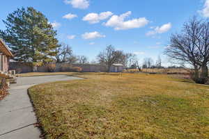 View of yard featuring a patio area and a shed