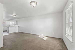 Unfurnished living room featuring light colored carpet and a textured ceiling