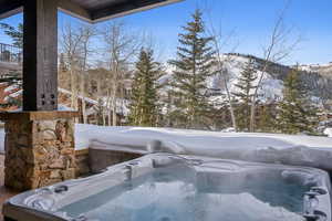 Details featuring a mountain view and a jacuzzi