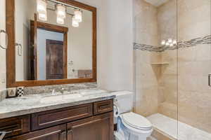 Bathroom featuring walk in shower, vanity, and toilet