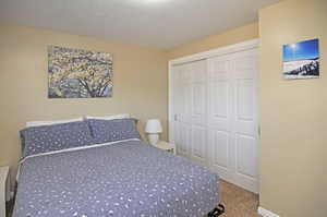 Carpeted bedroom featuring a closet and a textured ceiling