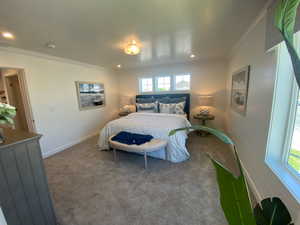 Carpeted bedroom with crown molding