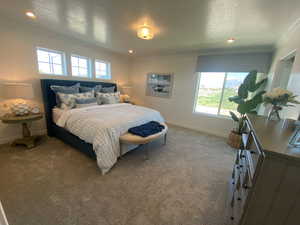 Carpeted bedroom featuring multiple windows, ornamental molding, and a textured ceiling