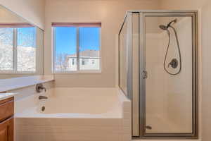 Bathroom with independent shower and bath and vanity