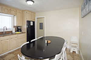 Kitchen featuring black refrigerator, light brown cabinetry, sink, and electric panel