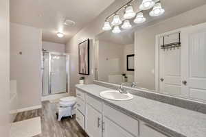 Primary Bathroom En-suite with walk in shower, vanity, jetted bathtub