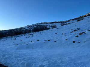 View of yard layered in snow