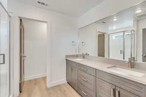 Bathroom with wood-type flooring and vanity