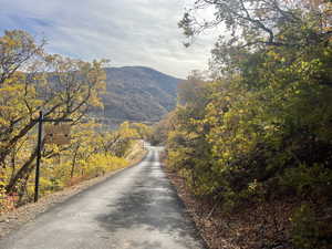 Access road to the Lot and Mountain