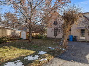 View of yard featuring a shed