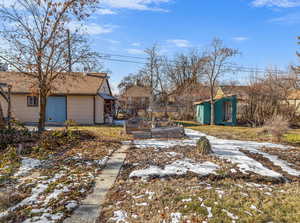 Yard layered in snow with a shed