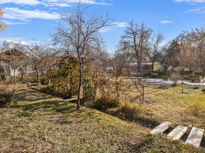 View of yard with a mountain view