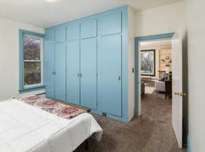 Carpeted bedroom featuring a closet