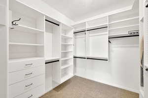 Spacious closet featuring light carpet