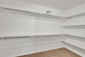 Spacious closet featuring carpet flooring