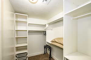 upstairs apartment over detached garage: Walk in closet in bedroom featuring carpet floors