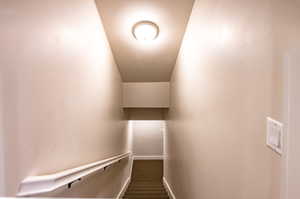 Stairway with carpet flooring to the basement area.