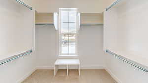 Spacious closet with light carpet