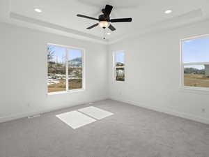 Empty room with light colored carpet and a raised ceiling