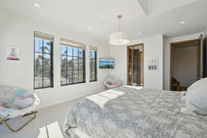 Carpeted bedroom with recessed lighting