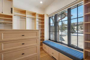 Walk in closet with light hardwood / wood-style floors