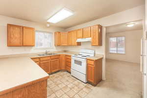 Kitchen with a healthy amount of sunlight, sink, white appliances, and light colored carpet