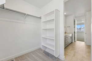 Walk in closet with light colored carpet and sink