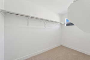 Spacious closet featuring carpet floors