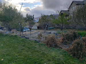 View of garden area in backyard