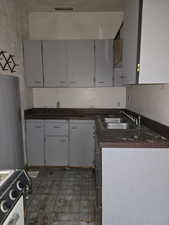 Kitchen Cabinets and Sink Area