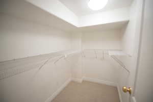 Spacious closet featuring light colored carpet