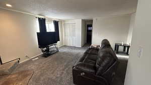 Living room featuring a textured ceiling and dark carpet