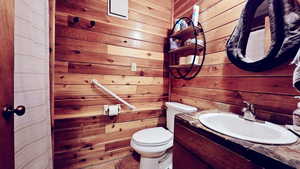 Bathroom with toilet, wooden walls, and vanity