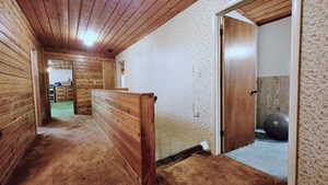 Corridor with wooden ceiling, carpet flooring, and wooden walls