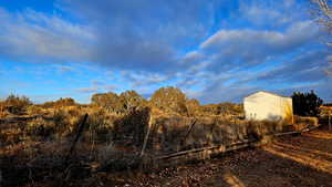 View of yard with a shed