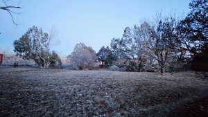 View of nature