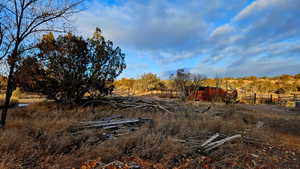 View of local wilderness with a rural view