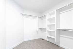 Walk in closet with light colored carpet