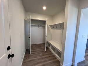 Mudroom featuring dark wood-type flooring