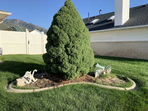 View of yard featuring a mountain view