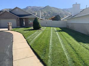 View of yard featuring a mountain view and a garage