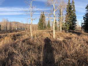 View of nature with a rural view