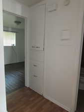 Hallway featuring dark hardwood / wood-style floors