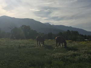 View of mountain feature with a rural view