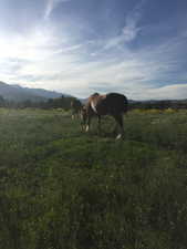 Property view of mountains with a rural view