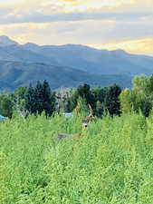 Property view of mountains