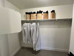 Spacious closet with carpet and lofted ceiling